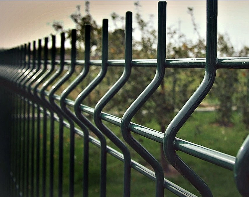 Металлический 3д забор от производителя на заказ в Кондопога